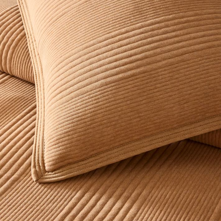 Cotton Cloud Jersey Duvet Cover & Shams West Elm