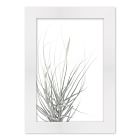 Soft Botanical Framed Wall Art | West Elm