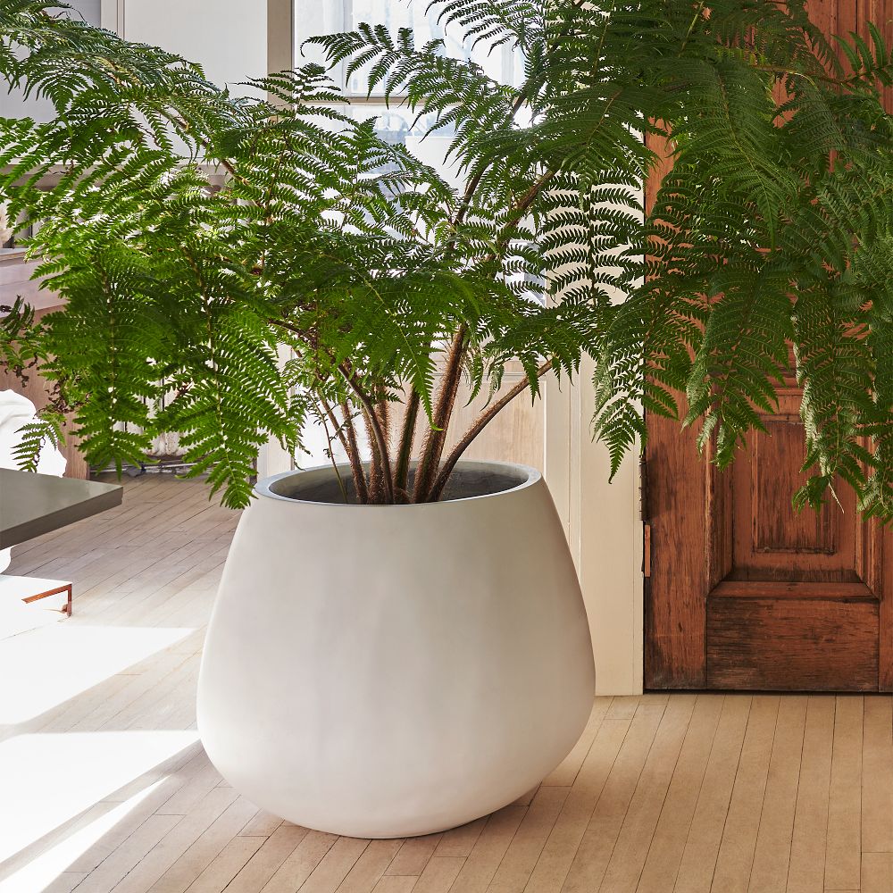 Pure Fibrestone Indoor/Outdoor Planters West Elm