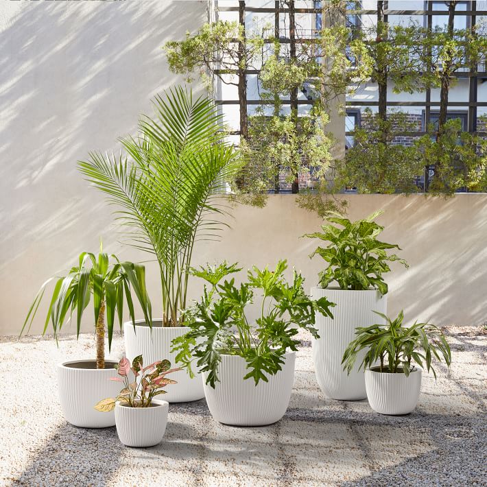 Sanibel Indoor/Outdoor Planters West Elm