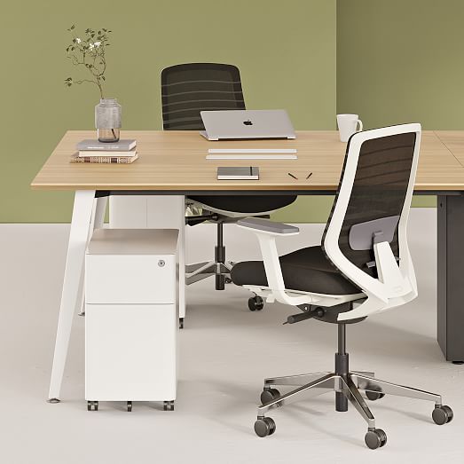 Branch Small Filing West Elm