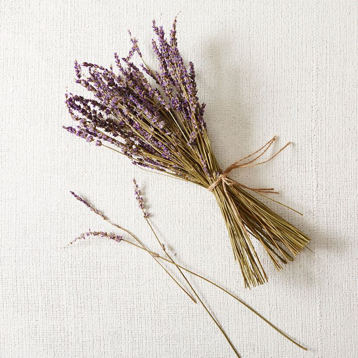 Dried Lavender Stem Bunch West Elm