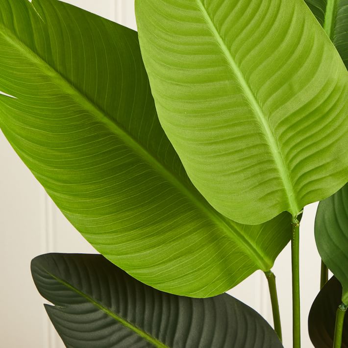 Faux Potted Travelers Palm Tree West Elm