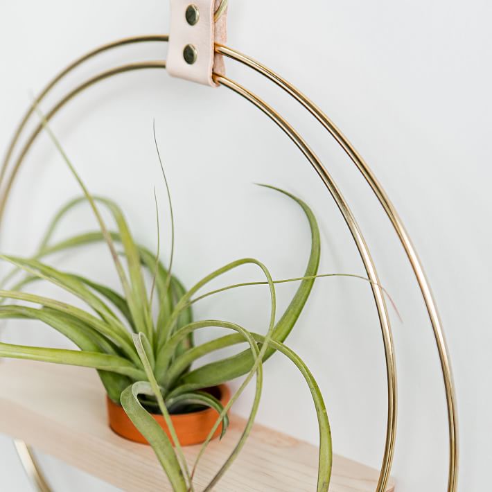 Braid & Wood Plant Shelf 