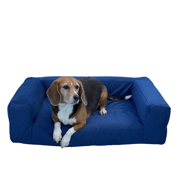 Blvd Dog Bed West Elm