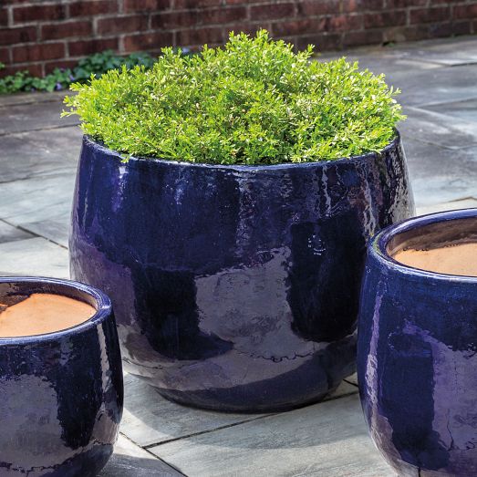 Glazed Terracotta Indoor/Outdoor Planters | West Elm