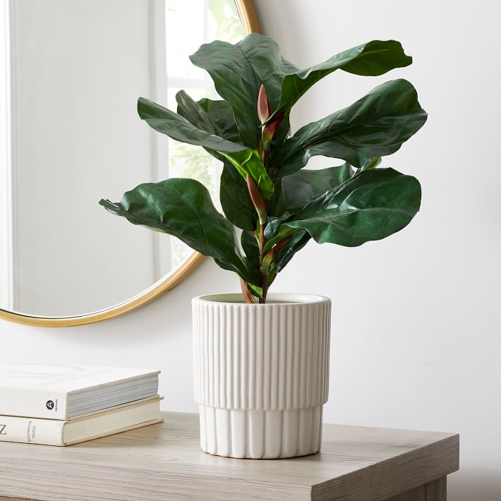 Faux Potted Fiddle Leaf Fig Trees West Elm