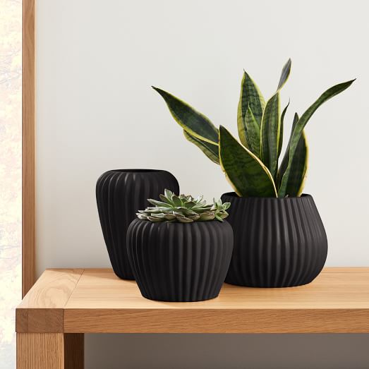 black table top planter