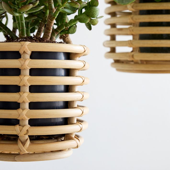 Adobe Rattan Hanging Planters Set of 2 West Elm