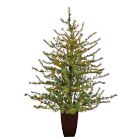 Pre-Lit Faux Potted Vancouver Mountain Pine Tree | West Elm