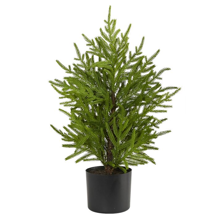 Faux Potted Norfolk Island Pine Tree | West Elm