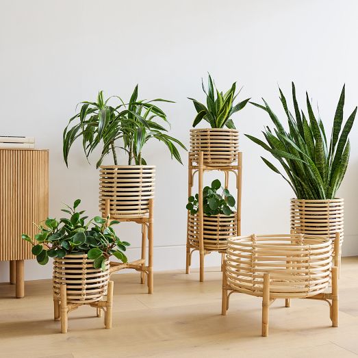 Image of Rattan planter free to use