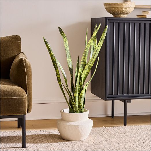 Faux Potted Snake Plant West Elm