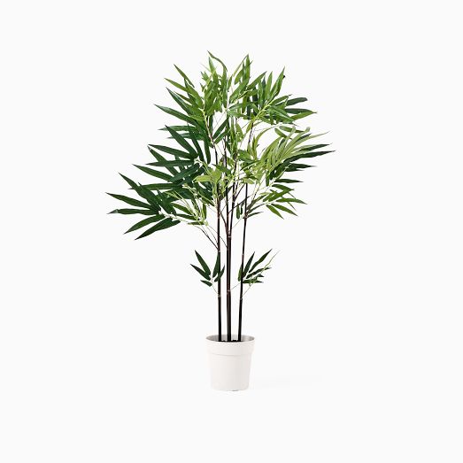 Best Fake Plants west elm