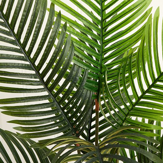 Faux Potted Paradise Palm Tree | West Elm