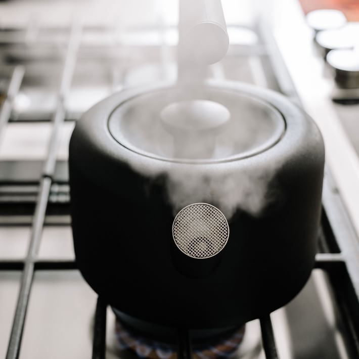 Fellow Clyde Stovetop Tea Kettle West Elm