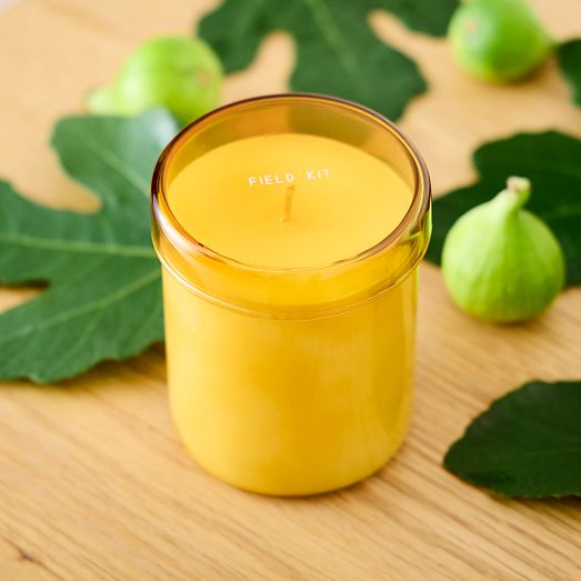 Field Kit The Solarium Candle West Elm