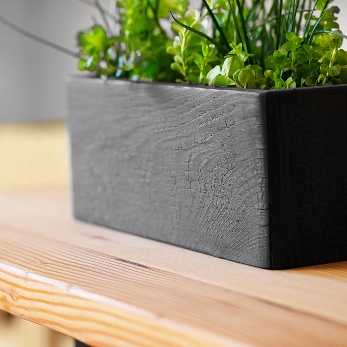 Formr VegeTABLE | West Elm