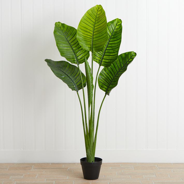 Faux Potted Travelers Palm Tree West Elm