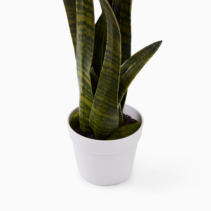Faux Potted Snake Plant West Elm