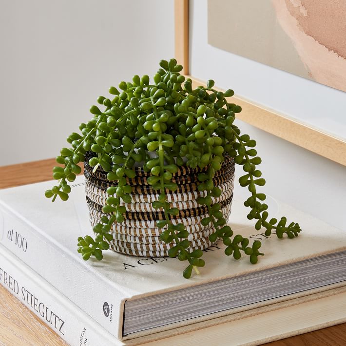 Faux Trailing Succulent Plant & Colorblock Basket Planter Bundle West Elm
