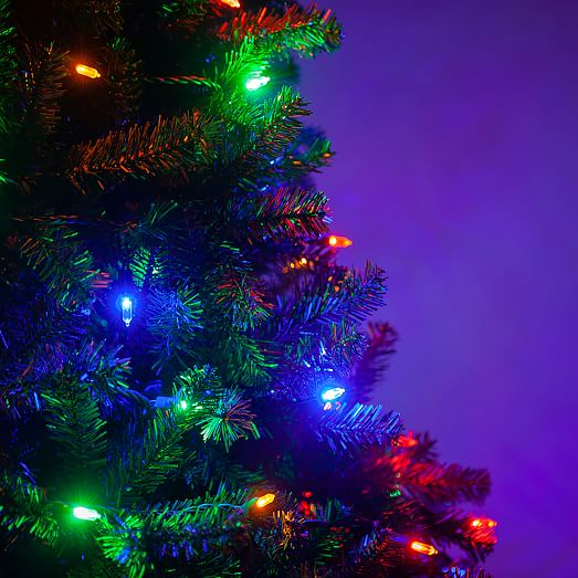 T5 LED Christmas Tree Lights West Elm