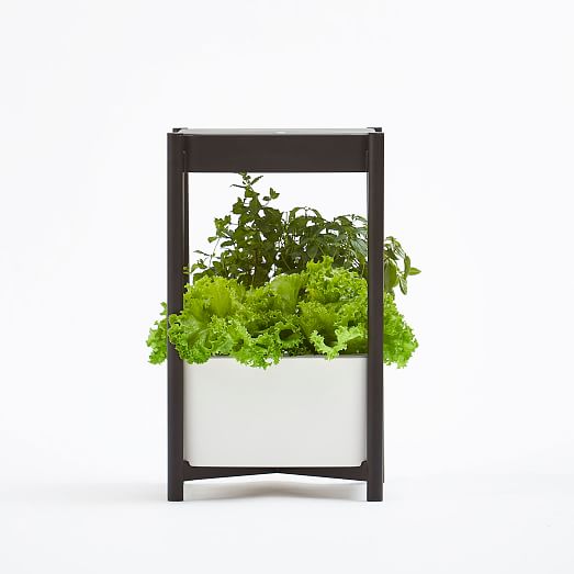 Miracle-Gro® Twelve™ Indoor Growing System | West Elm