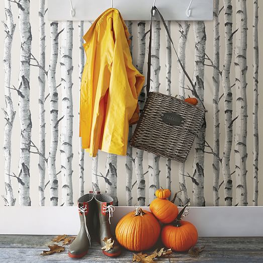 Birch Trunks Wallpaper | West Elm