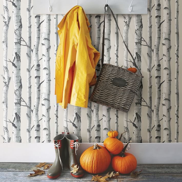 Birch Trunks Wallpaper | West Elm