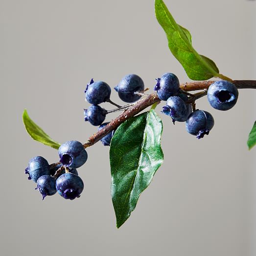 Faux Blueberry Branch | West Elm