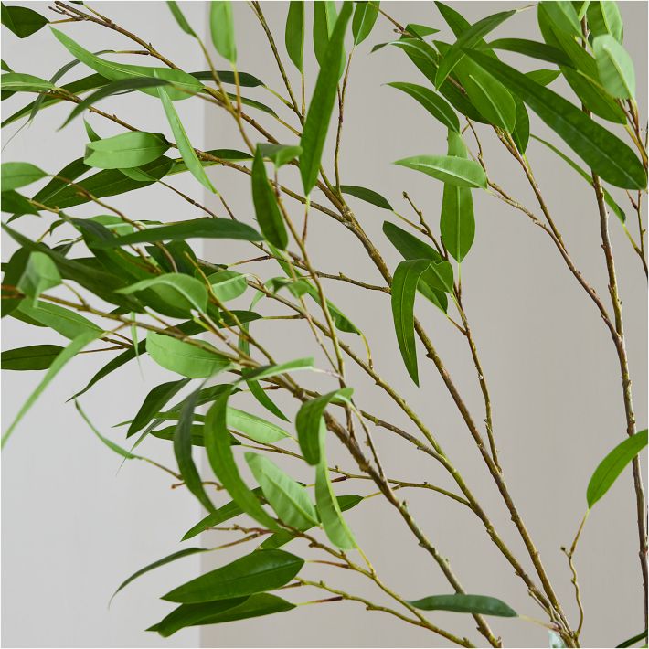 Faux Potted Eucalyptus Tree West Elm