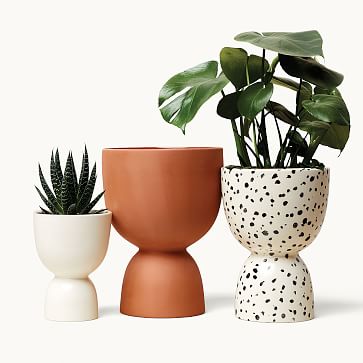 Organic Planters - Angus & Celeste