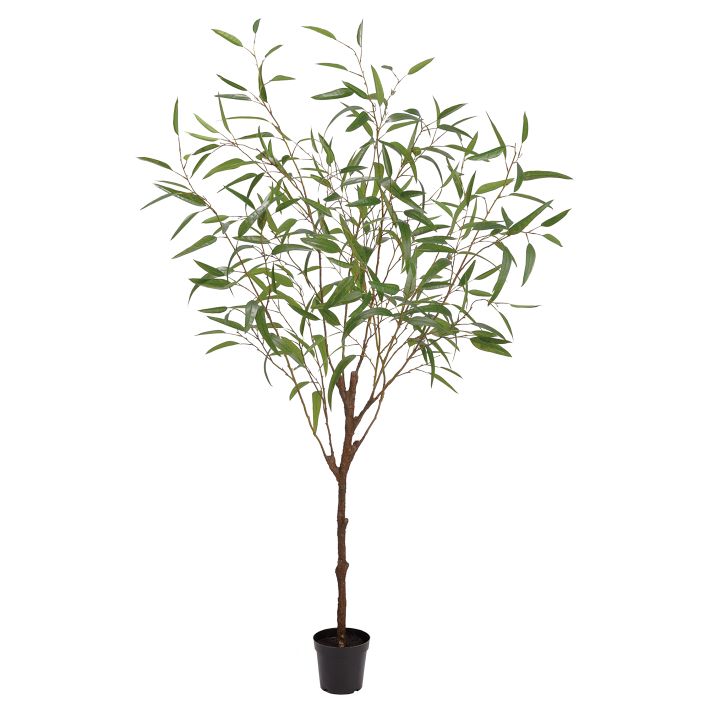 Faux Potted Eucalyptus Tree West Elm