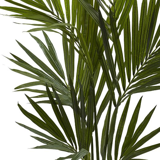 Faux Potted Kentia Palm Tree West Elm