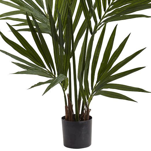 Faux Potted Kentia Palm Tree West Elm