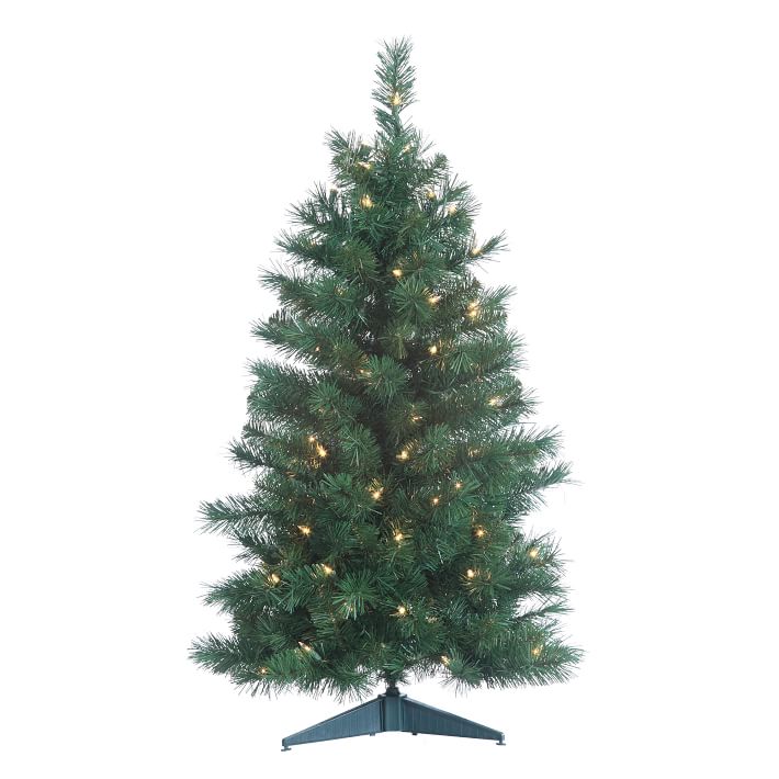 Colorado Spruce Christmas Tree West Elm