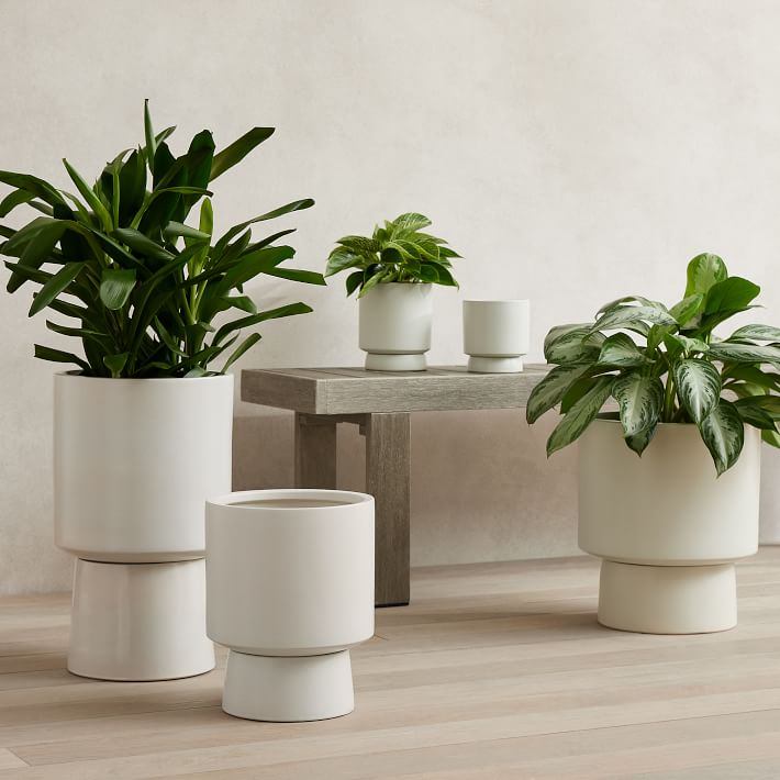 Bishop Ceramic Indoor/Outdoor Pedestal Planters | Elm