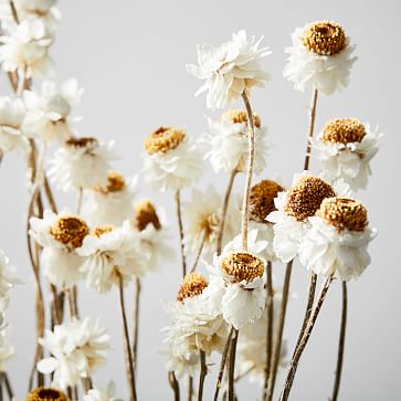 White Dried Flowers Eternal Life Bouquet Wind Light Luxury Dream