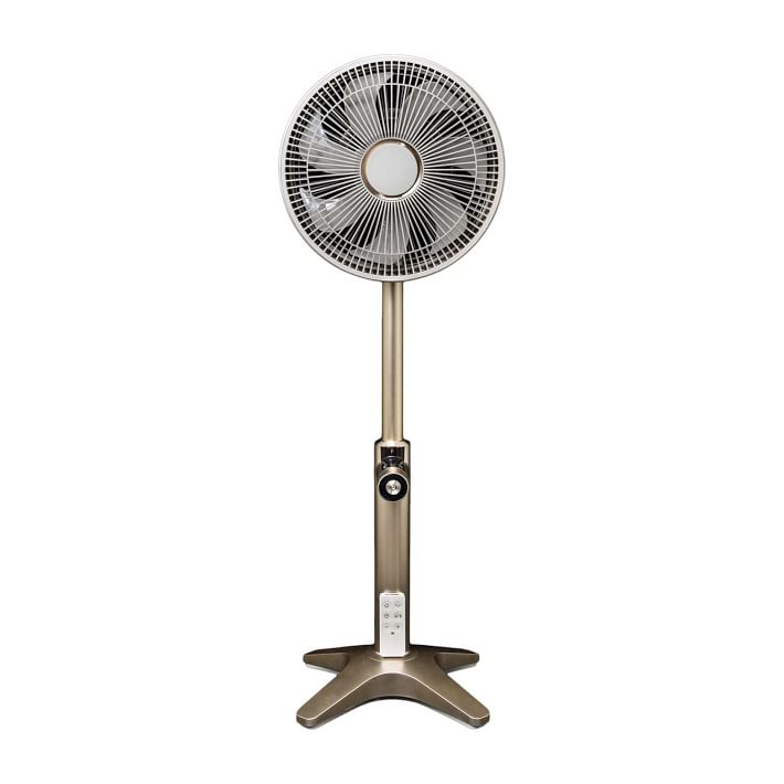 Objecto Rose Gold Fan West Elm