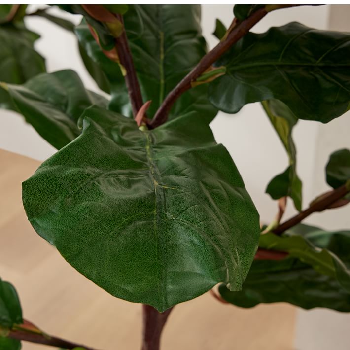 Faux Potted Fiddle Leaf Fig Trees West Elm