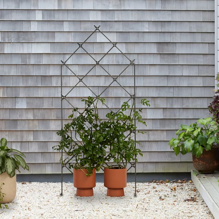 Iron Lattice Trellis West Elm