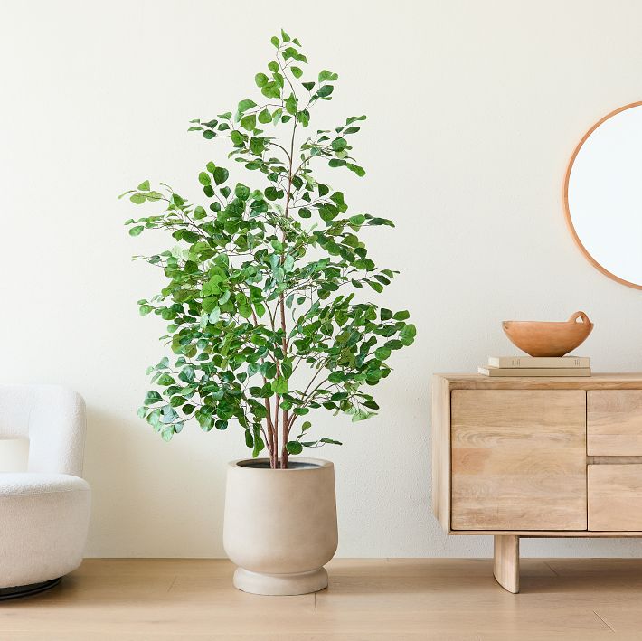 Faux Potted Ficus Tree And Helena Planter Bundle West Elm