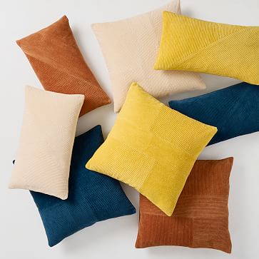 https://assets.weimgs.com/weimgs/rk/images/wcm/products/202328/0009/corduroy-velvet-pillow-cover-m.jpg