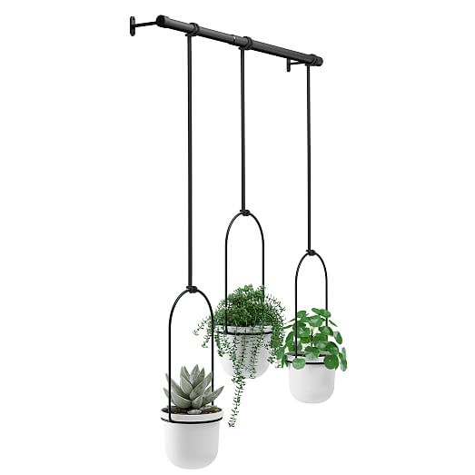 Tri-Flora Hanging Planter | West Elm