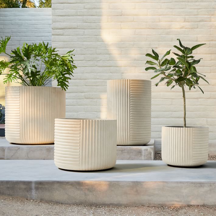 Cecilia Ficonstone Indoor/Outdoor Planters | West Elm