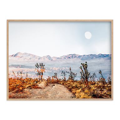 framed photography art