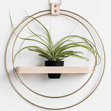 Pot - Modern Houseplant Pots & Vessels by Braid & Wood