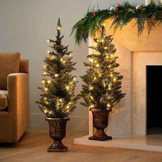 Potted Hard Needle Christmas Trees (Set of 2) West Elm