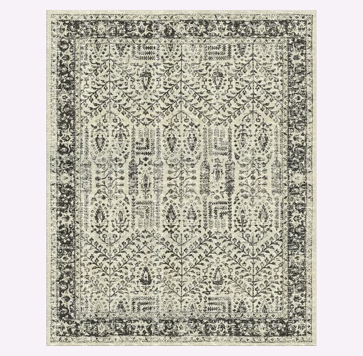 Distressed Nadine Rug West Elm