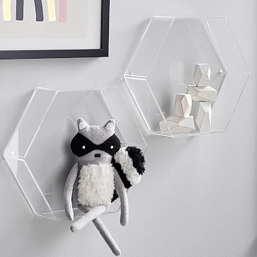 https://assets.weimgs.com/weimgs/rk/images/wcm/products/202336/0036/acrylic-hex-shelf-m.jpg